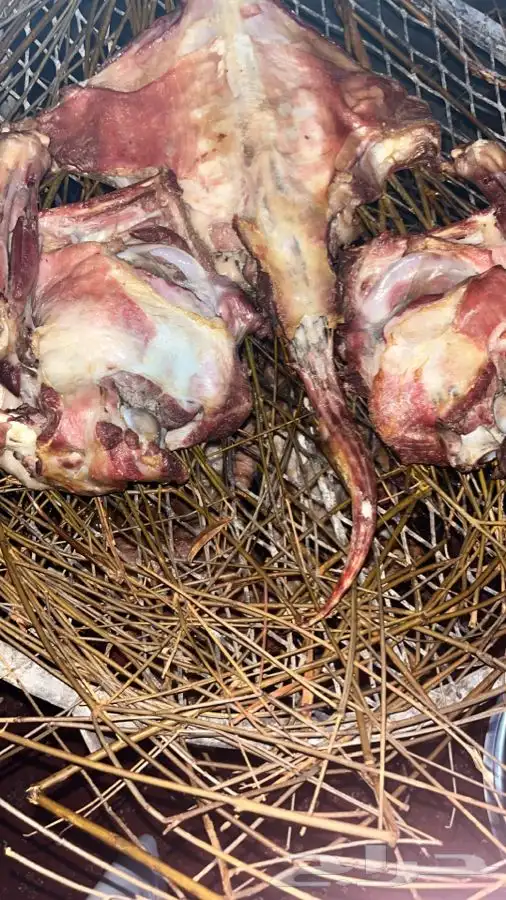 تيوس وطليان مع السلخ والتوصيل او الطبخ والتوصيل 3