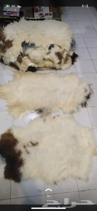 جواعد طبيعيه سوريا 2