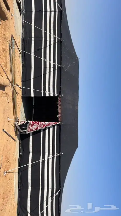 بيت شعر 5
