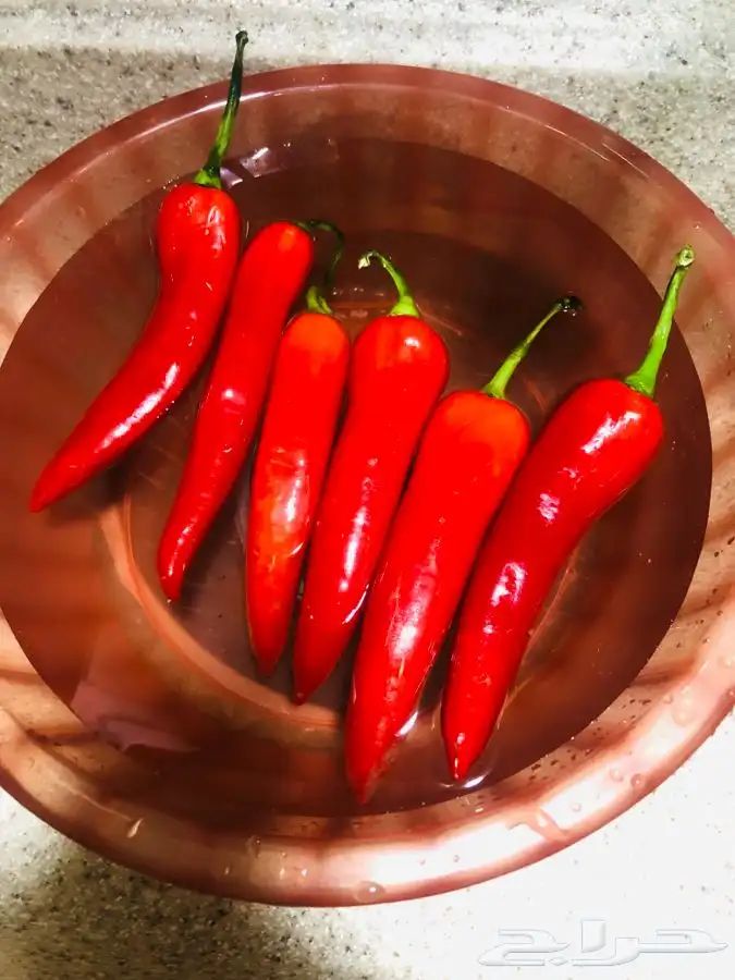 شطة (عوافي) شغل منزلي 3