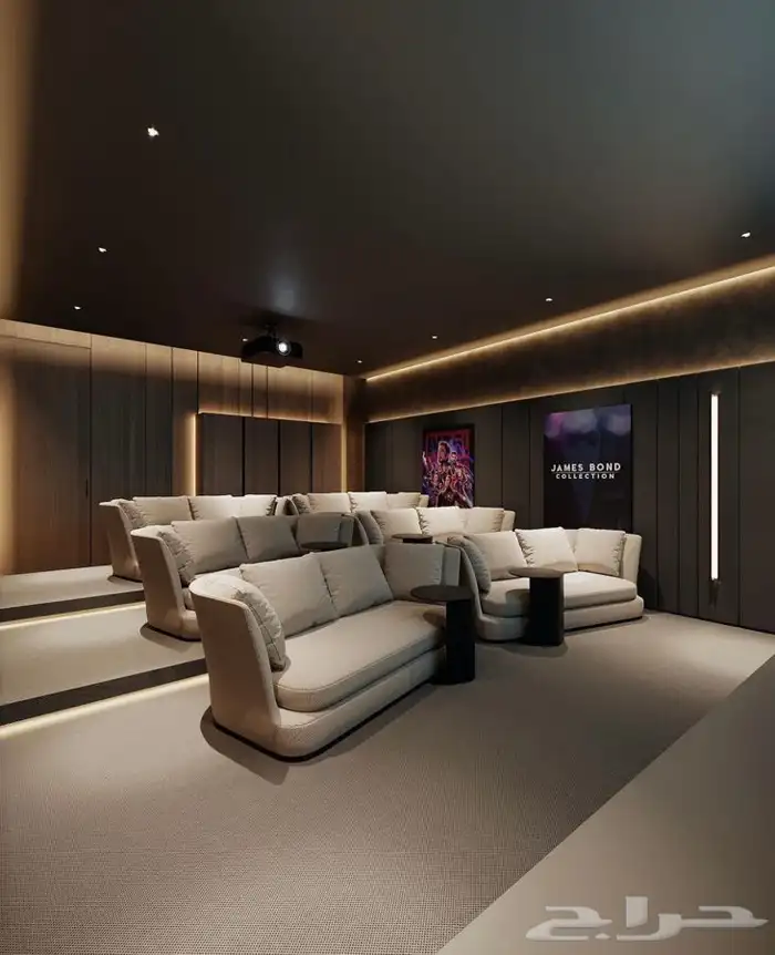بارات وغرف سينما 8