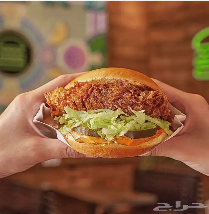 مصور اطعمه 3