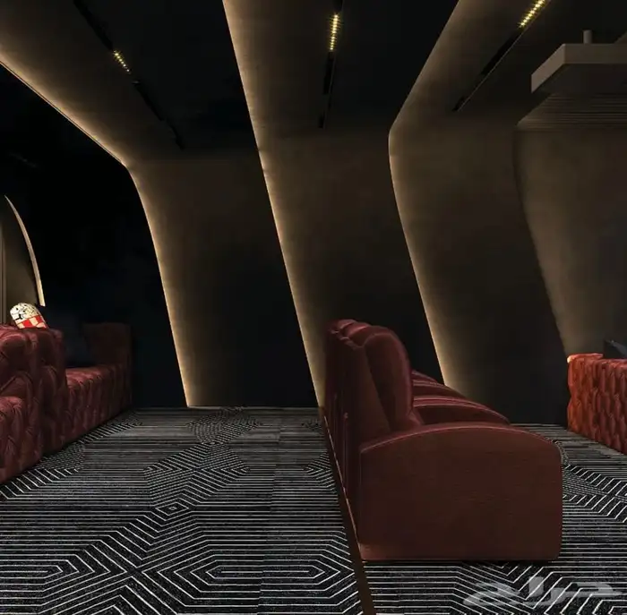 بارات وغرف سينما 2