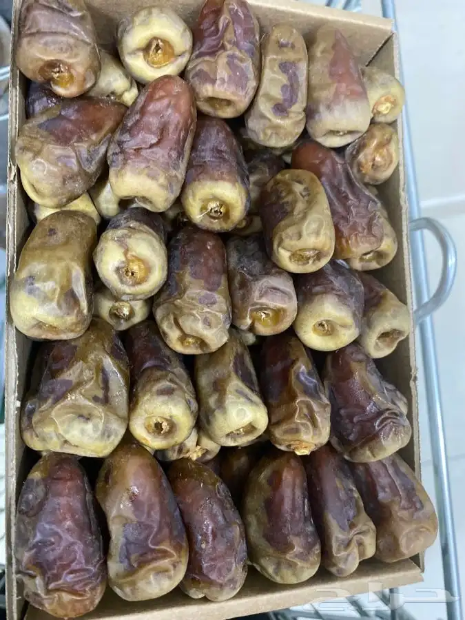 تمر برني العيص 4