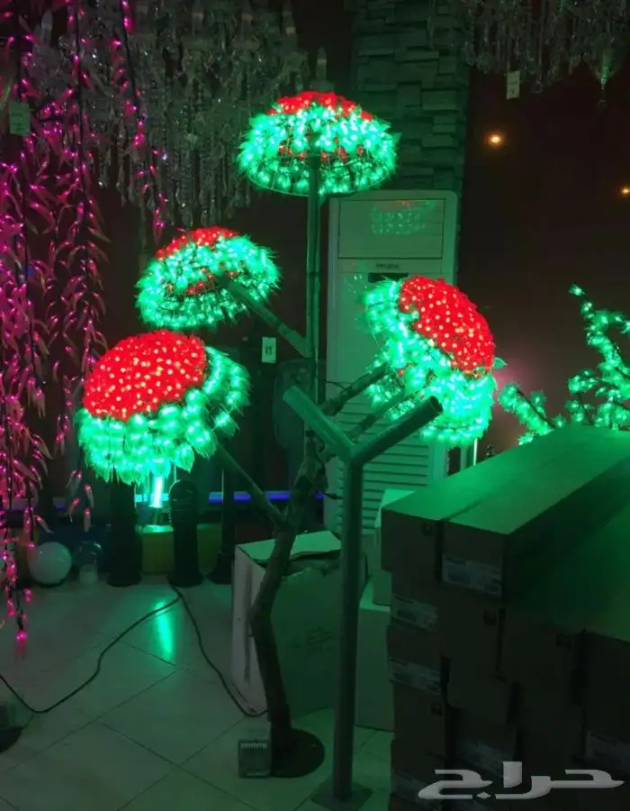 ليزر وكشافات اليوم الوطني 2