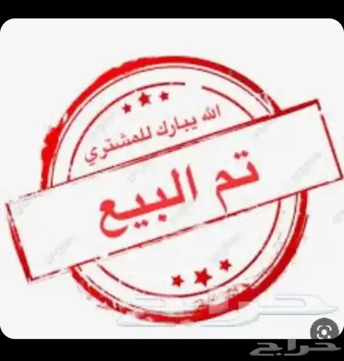 ديك كوشامو قزم ( تم البيع ) 4