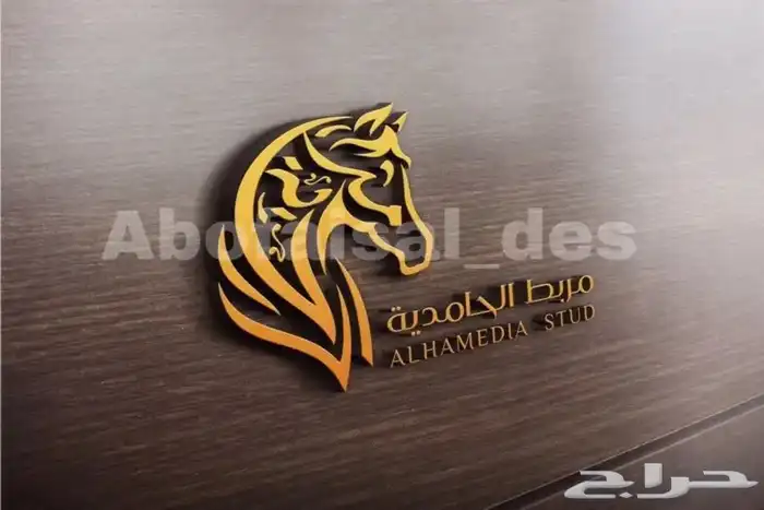 تصميم شعارات وهويات ( مصمم ) 16