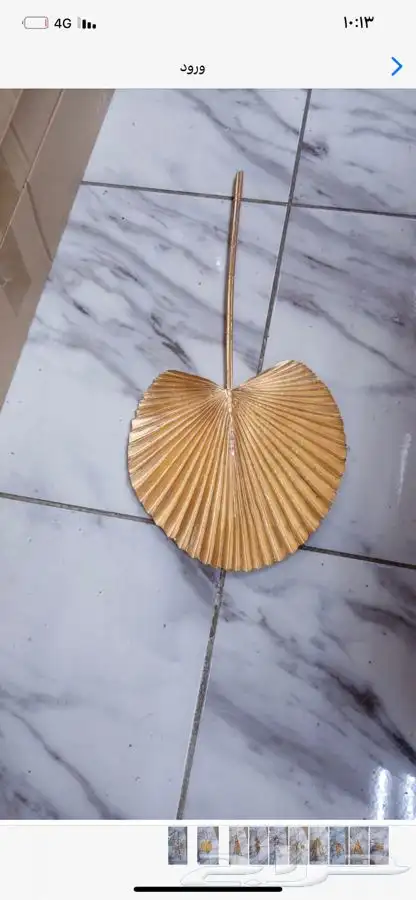 سعف نخل زينة واشنتونيا 3