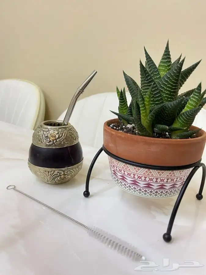 تطور انيق غير معتاد في عالم المته . حان الوقت لتطلب البكج 7