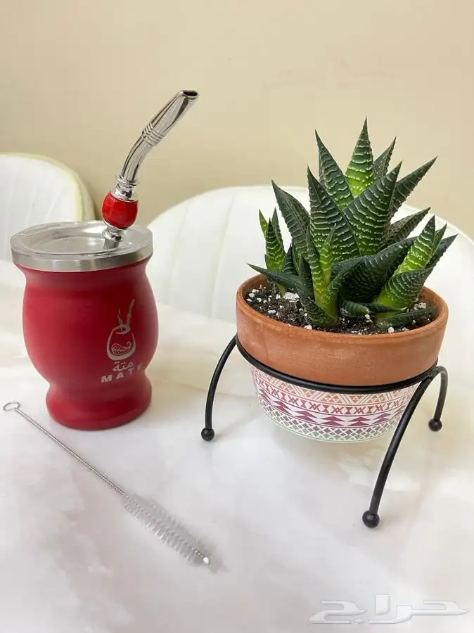 تطور انيق غير معتاد في عالم المته . حان الوقت لتطلب البكج 8