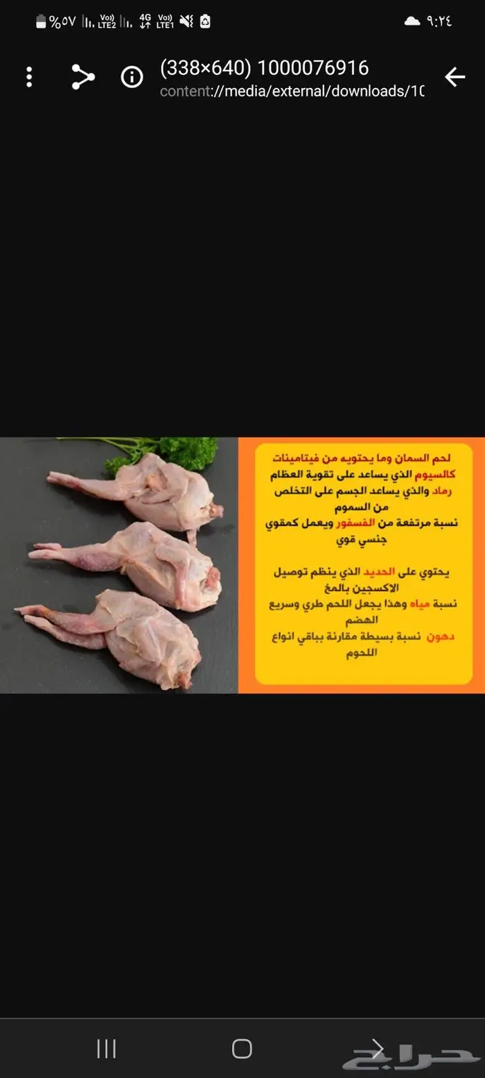 سمان ودجاج جاهز لذبح 0