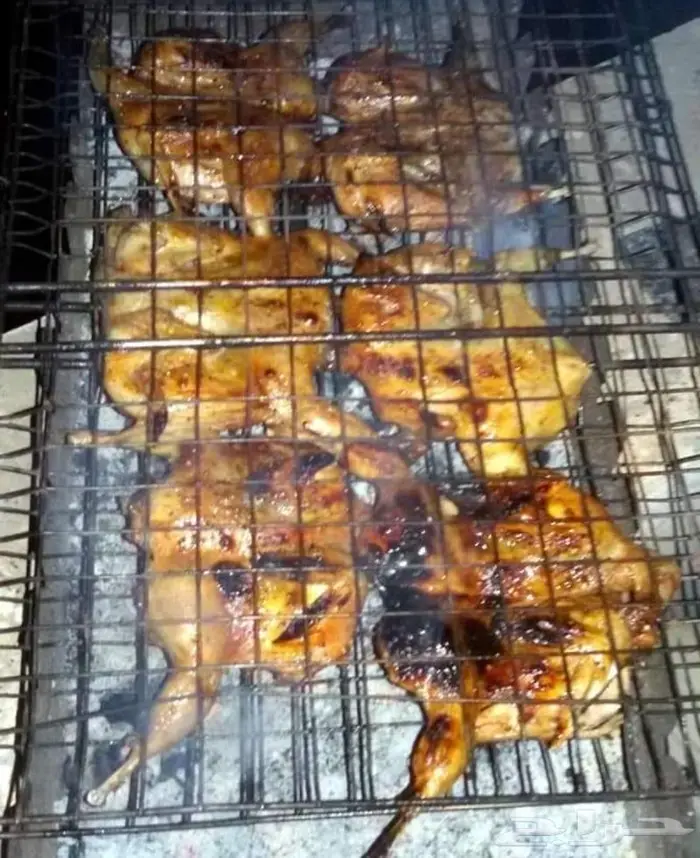 سمان ودجاج جاهز لذبح 3