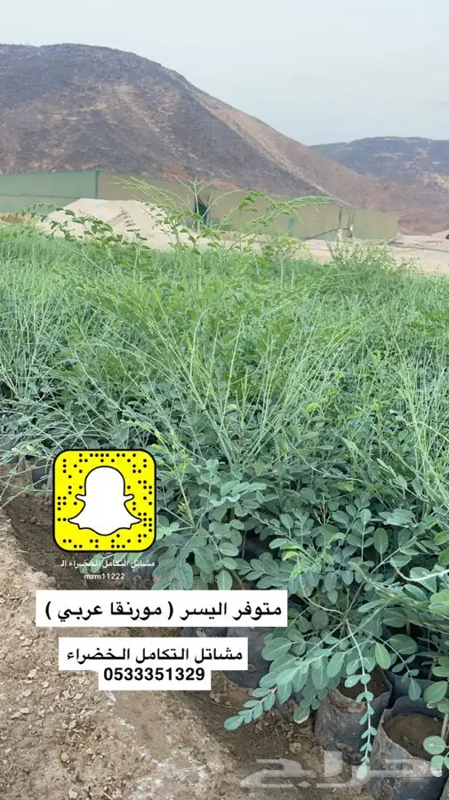 مشاتل التكامل الخضراء الزراعيه 0