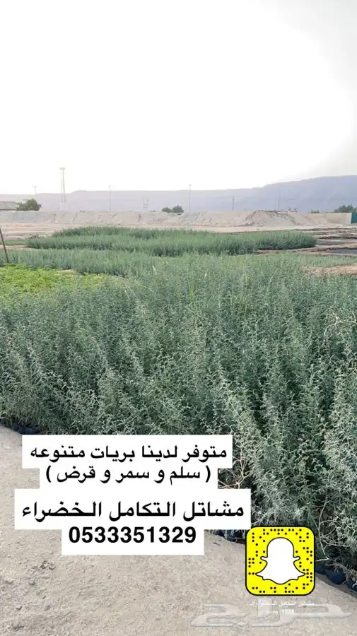مشاتل التكامل الخضراء الزراعيه 1