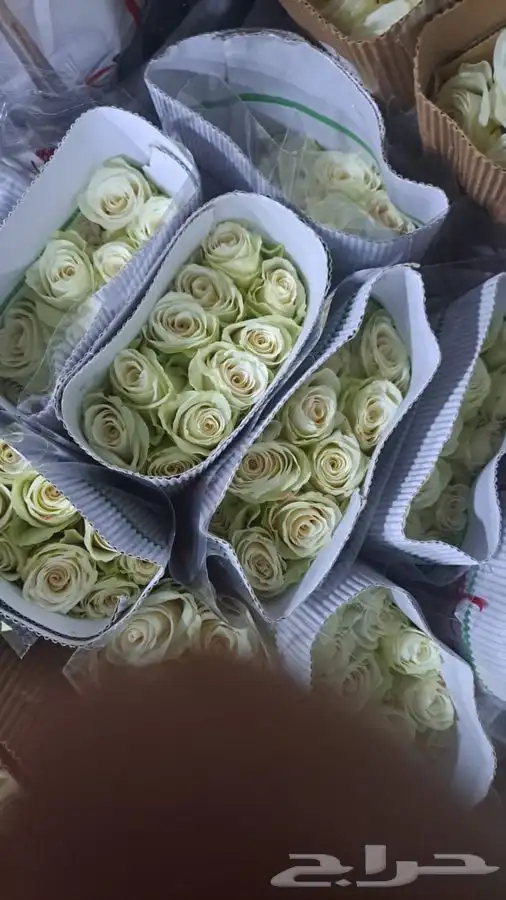 ورد جمله طبيعي 1