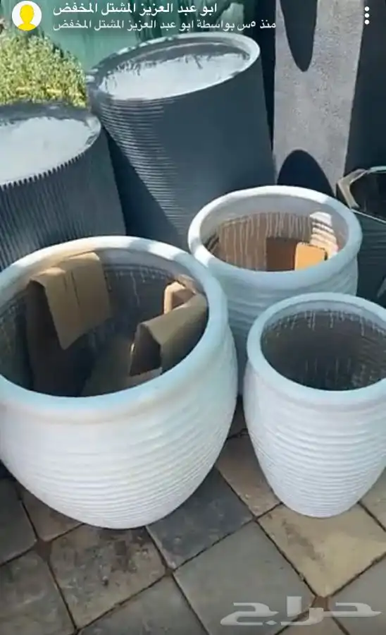 اشجار واحواض وزهور زينه باسعار طيبه 2