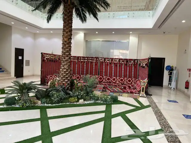 تاجير جميع الكراسى 23