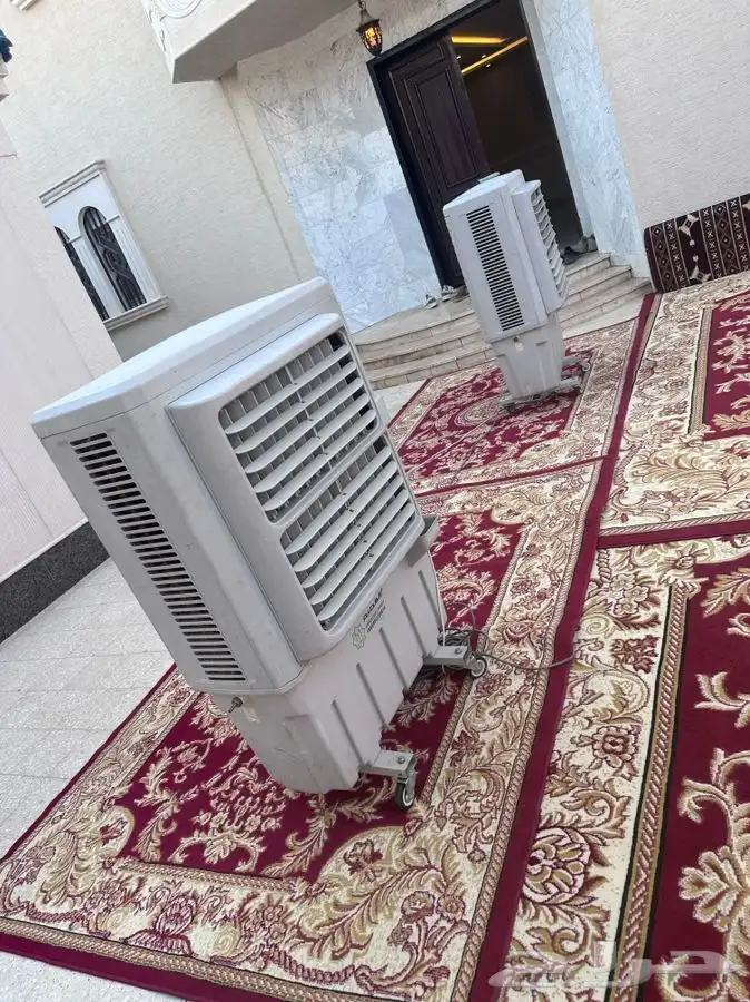 تاجير جميع الكراسى 3