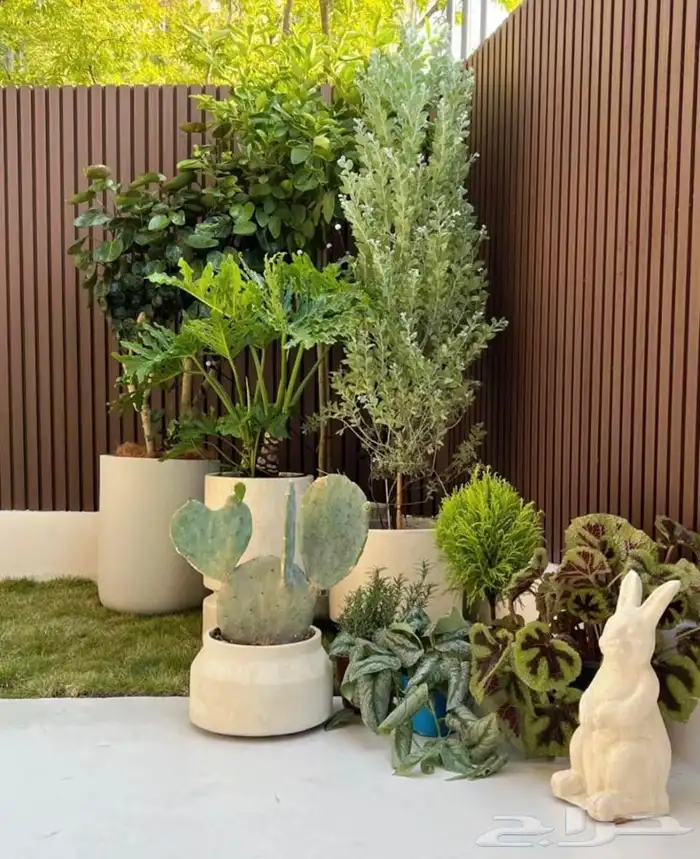 تنسيق حدائق أعمال   بديل خشب   عشب   صناعي ملاعب كرة قدم 8