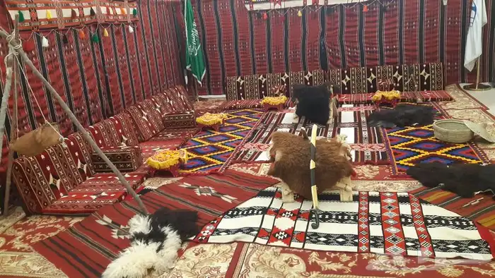 تاجير جميع الكراسى 12