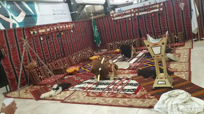 تاجير جميع الكراسى 15