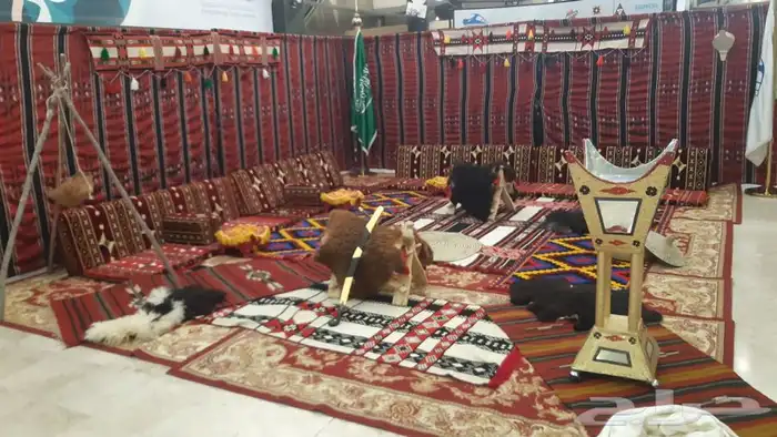 تاجير جميع الكراسى 14