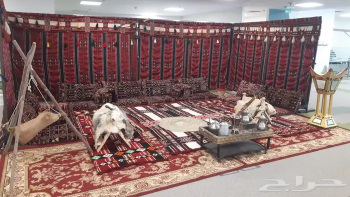 تاجير جميع الكراسى 16