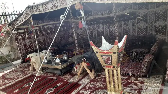 تاجير جميع الكراسى 20