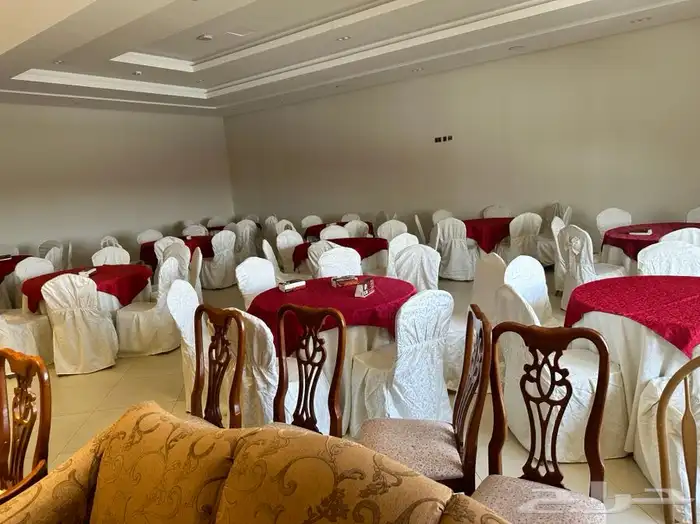 تاجير جميع الكراسى 6