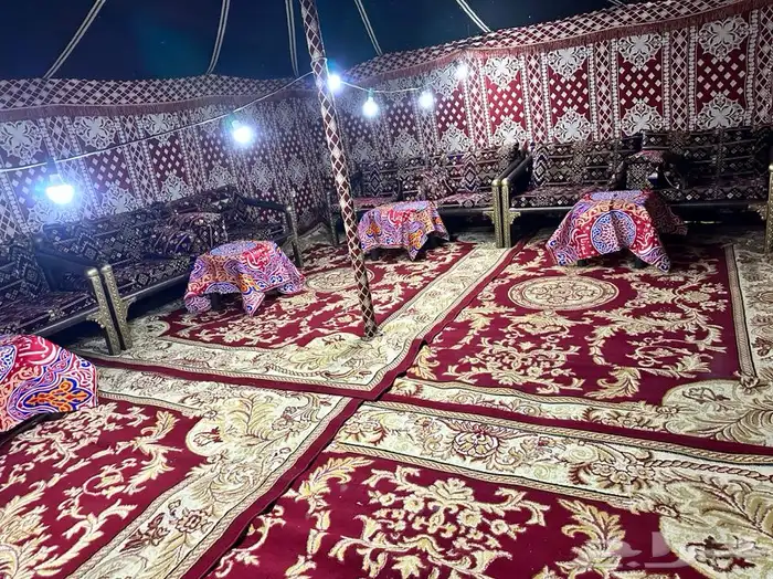 تاجير جميع الكراسى 9