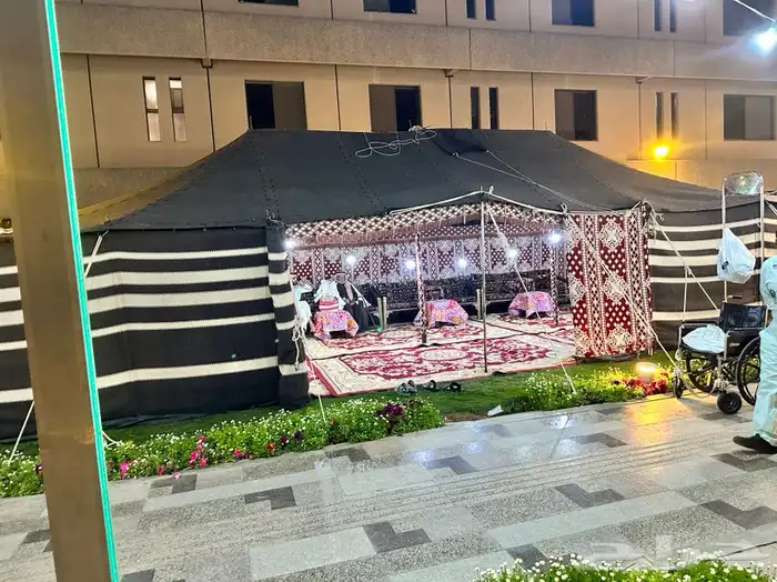 تاجير جميع الكراسى 8