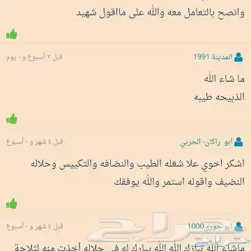 ذبايح طليان حريه وتيوس عوارض مع خدمة الذبح والتوصيل 17