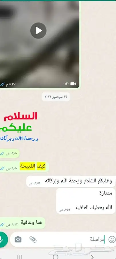 ذبايح طليان حريه وتيوس عوارض مع خدمة الذبح والتوصيل 10
