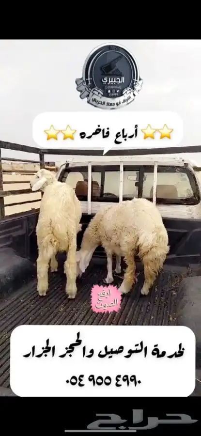 حريات فاخره وناهيه للثلاجة والمناسبات والبيع تفريد وجمله 6