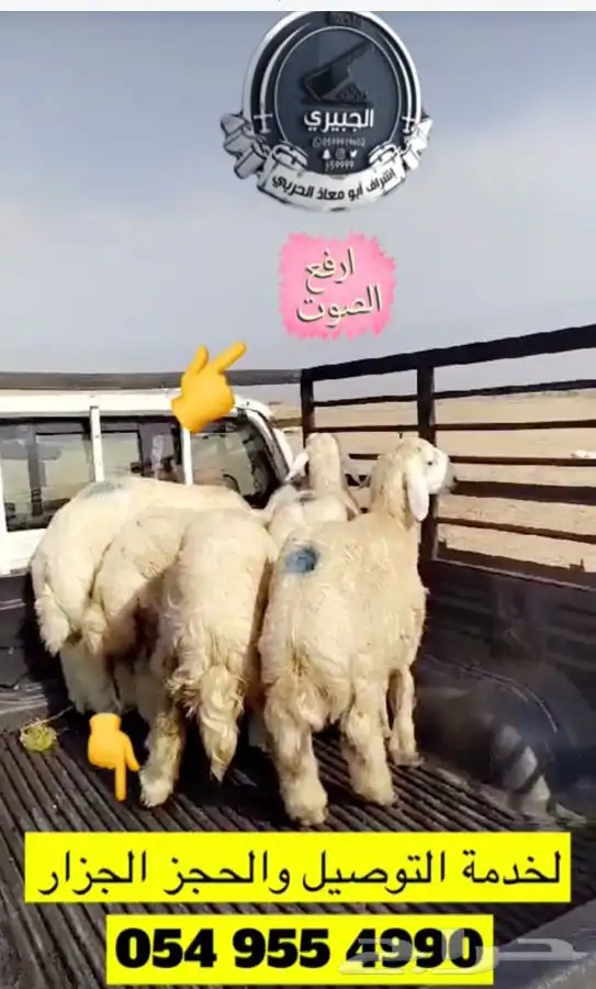 حريات فاخره وناهيه للثلاجة والمناسبات والبيع تفريد وجمله 4