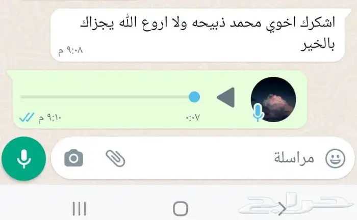 ذبايح طليان حريه وتيوس عوارض مع خدمة الذبح والتوصيل 14