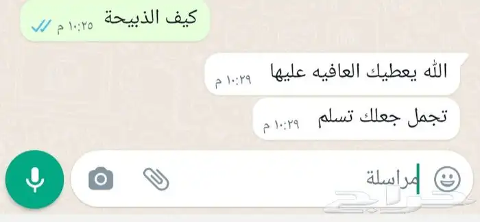 ذبايح طليان حريه وتيوس عوارض مع خدمة الذبح والتوصيل 9