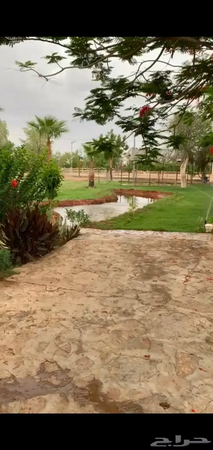 للبيع مزرعة في الباحه كراء الحايط 1