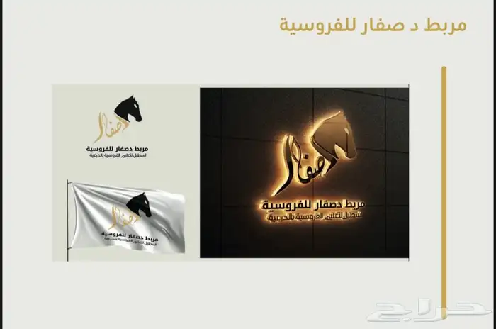 مصمم جرافيك يلبي جميع احتياجك وتصوير ومونتاج فيديو 4
