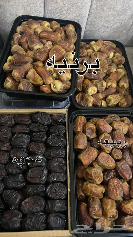 تمر سكري مفتل 6