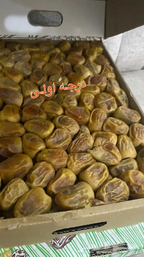 تمر سكري مفتل 1