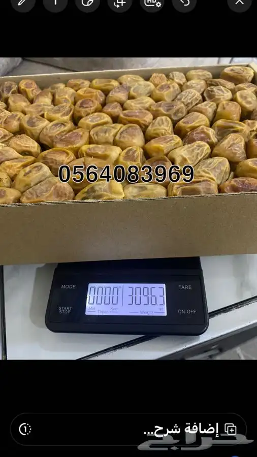 تمر سكري مفتل 13