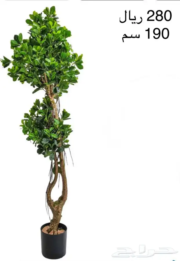 شجر صناعي 15