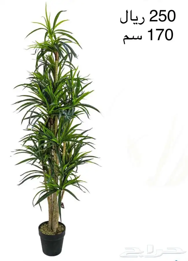 شجر صناعي 20