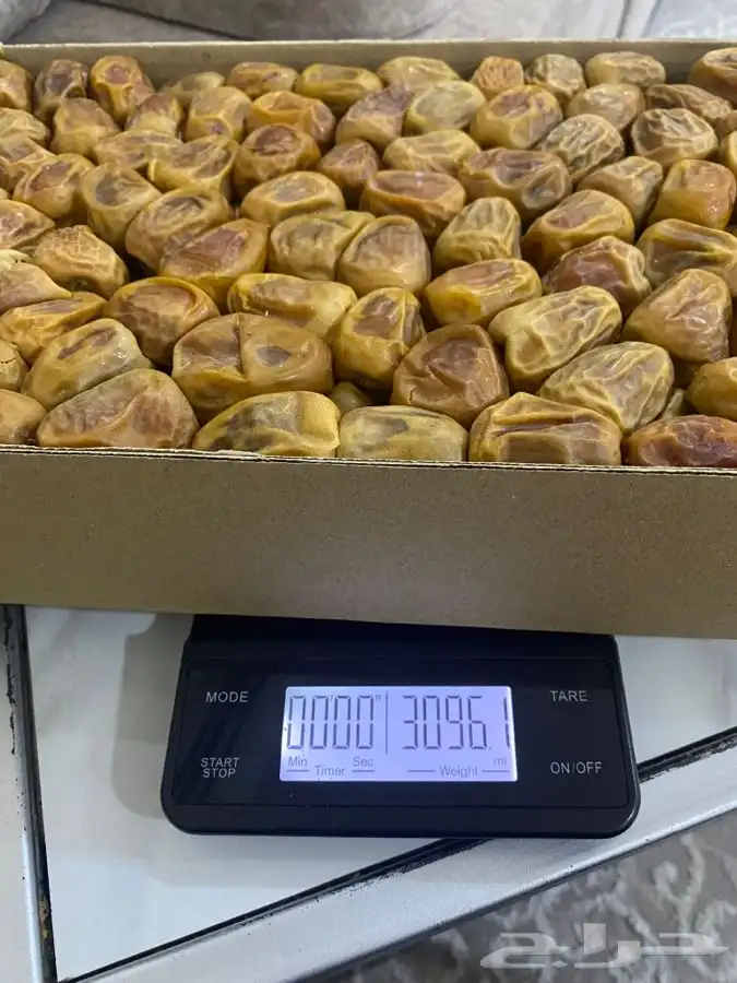 تمر سكري مفتل 16