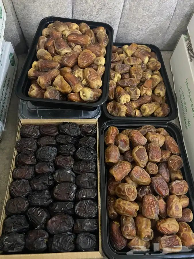 تمر سكري مفتل 5