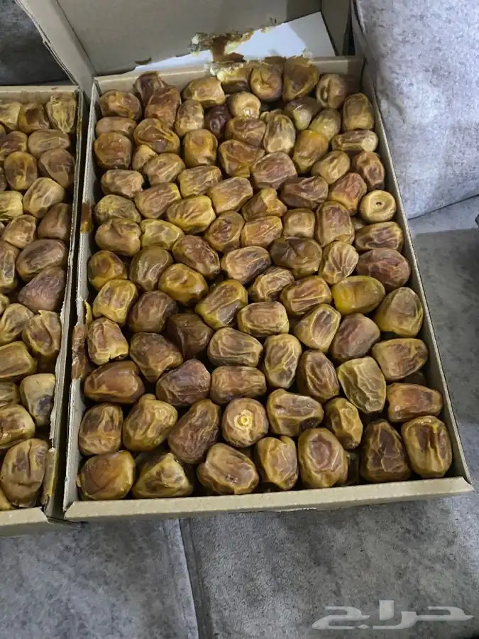 تمر سكري مفتل 17