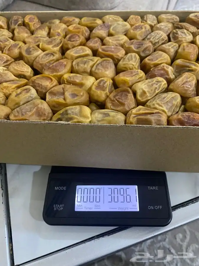 تمر سكري مفتل 15
