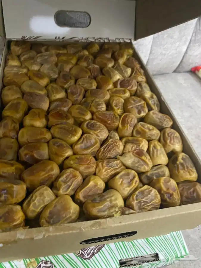 تمر سكري مفتل 7