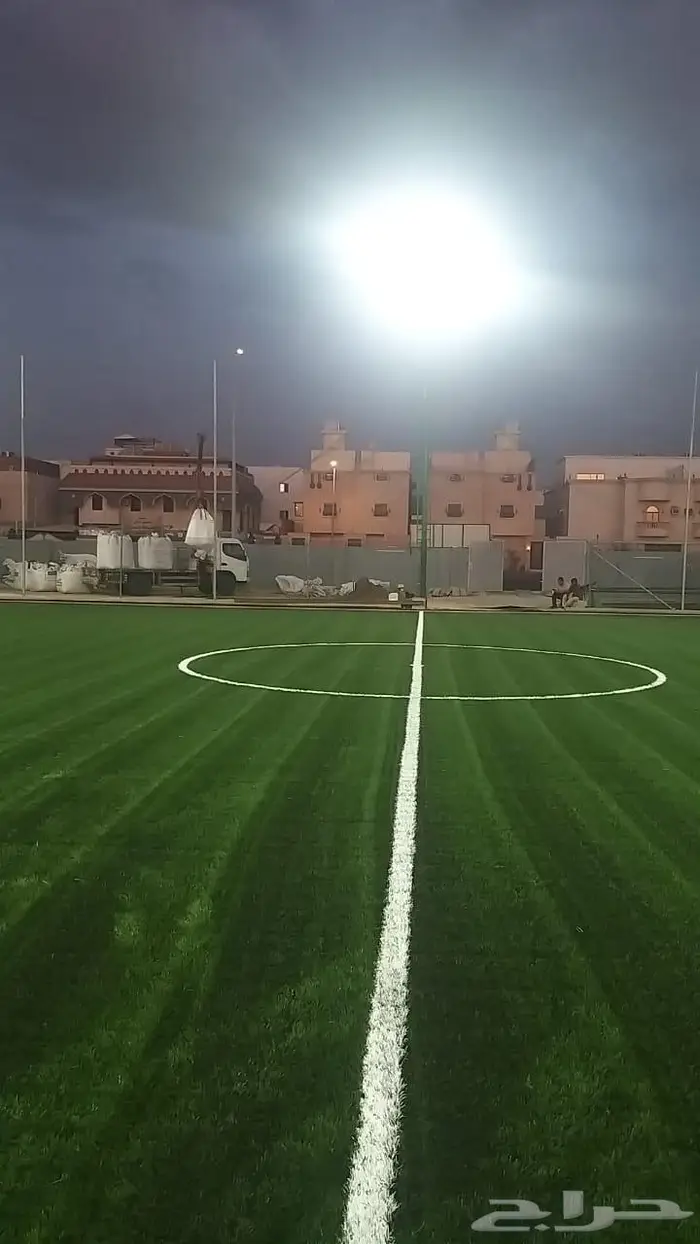 عشب حدائق و عشب جداري 11